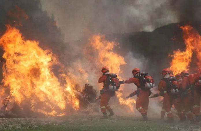 在移動(dòng)餐廳帳篷里聚會(huì)體驗(yàn)怎么樣？