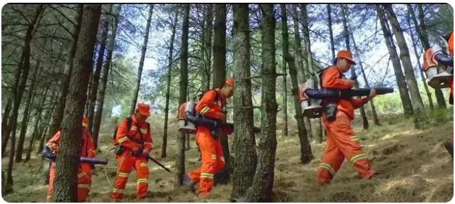 全市森林草原防火期結(jié)束，嵩明持續(xù)筑牢森林&ldquo;防火墻&rdquo;